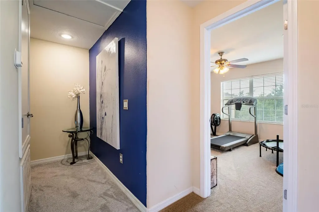10144 Arbor Run Drive Tampa FL 33647