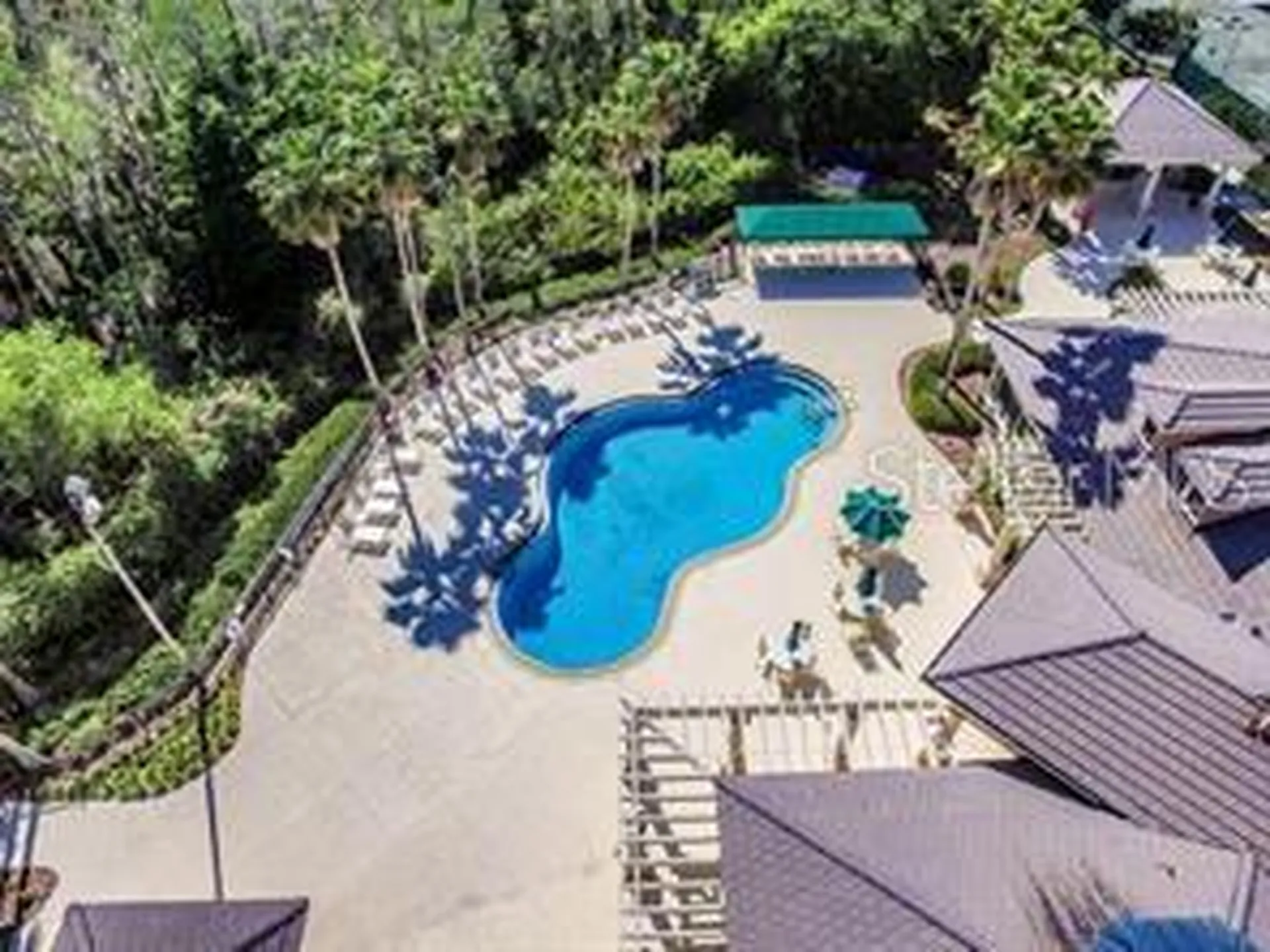 10144 Arbor Run Drive Tampa FL 33647