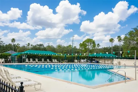 10144 Arbor Run Drive Tampa FL 33647