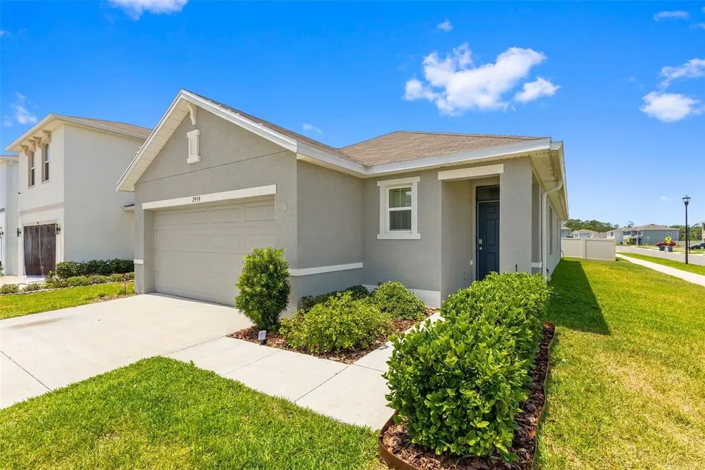 2959 Common Fig Run Wesley Chapel FL 33543