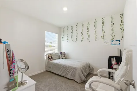2959 Common Fig Run Wesley Chapel FL 33543