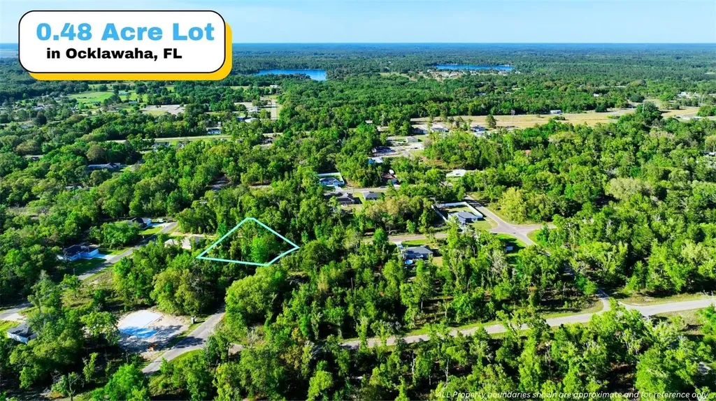 Tbd Fisher Lane Way Ocklawaha FL 32179