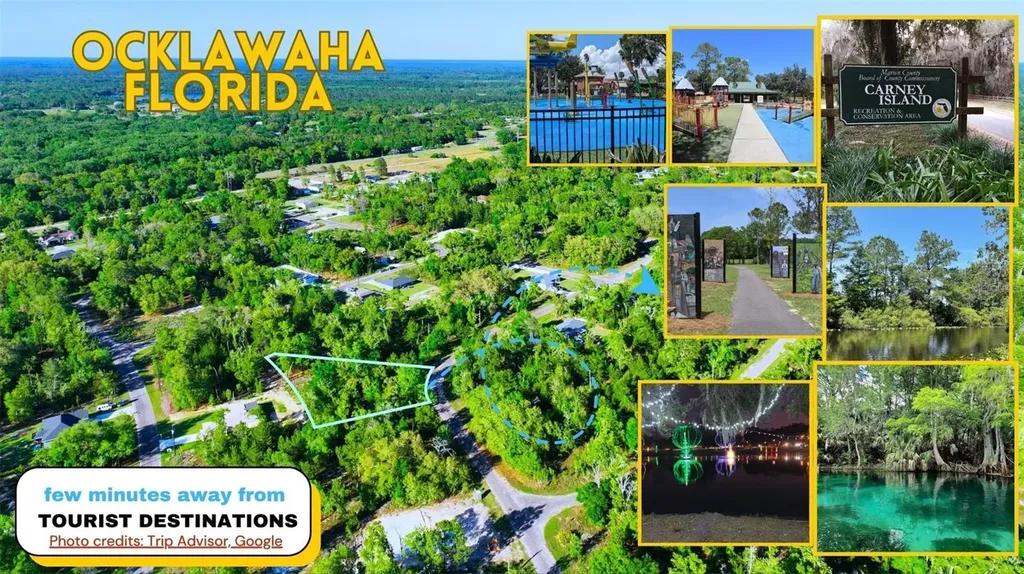 Tbd Fisher Lane Way Ocklawaha FL 32179