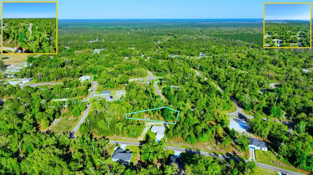Tbd Fisher Lane Way Ocklawaha FL 32179