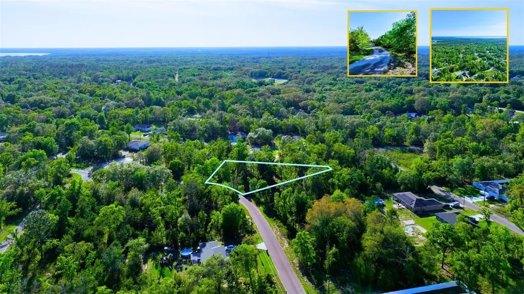 Tbd Fisher Lane Way Ocklawaha FL 32179