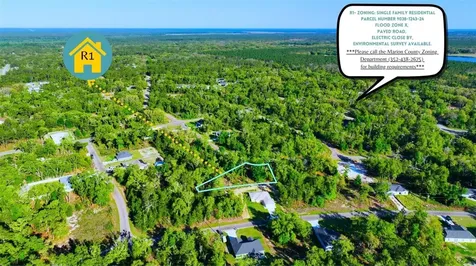 Tbd Fisher Lane Way Ocklawaha FL 32179