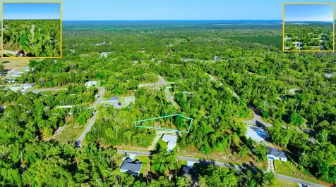 Tbd Fisher Lane Way Ocklawaha FL 32179