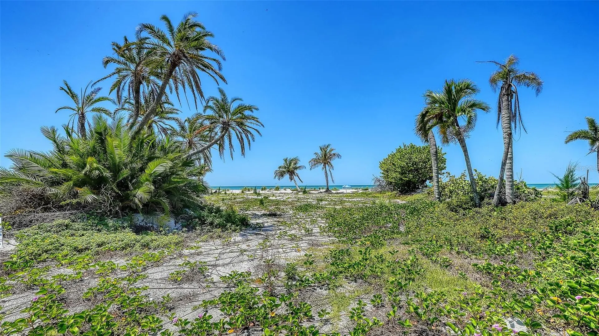 6441 Gulfside Road Longboat Key FL 34228