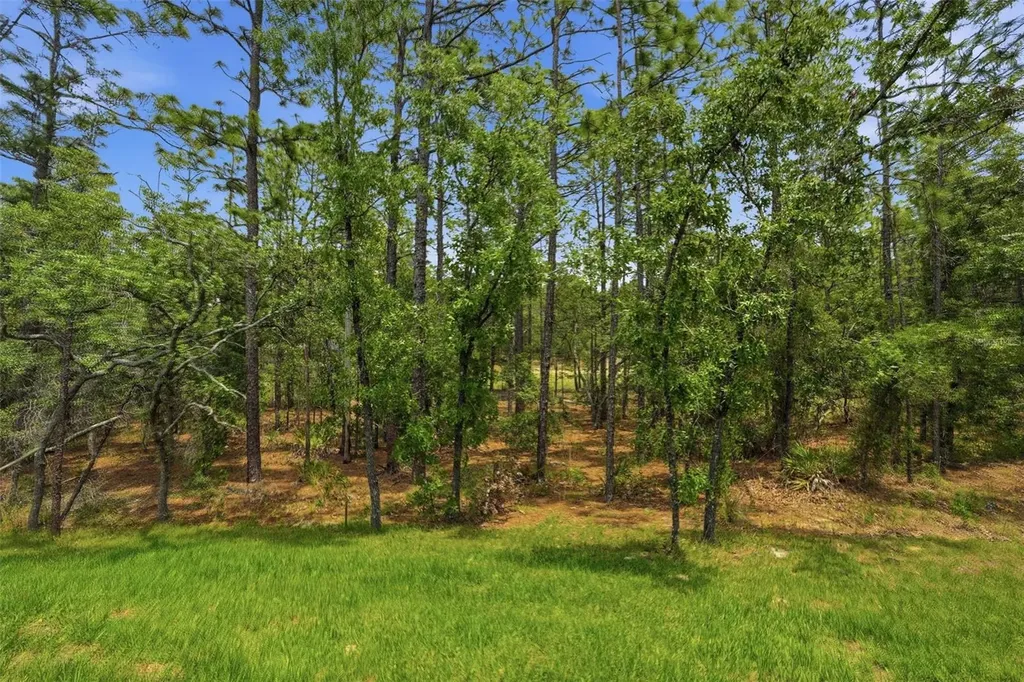 39 Milbark Drive Homosassa FL 34446