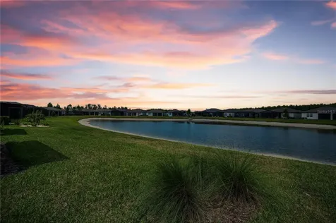 6040 Shorebird Branch Land O Lakes FL 34638