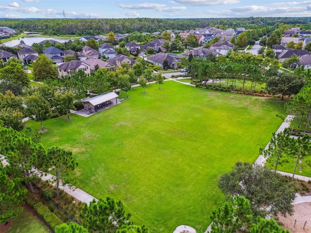 13218 Batten Lane Odessa FL 33556