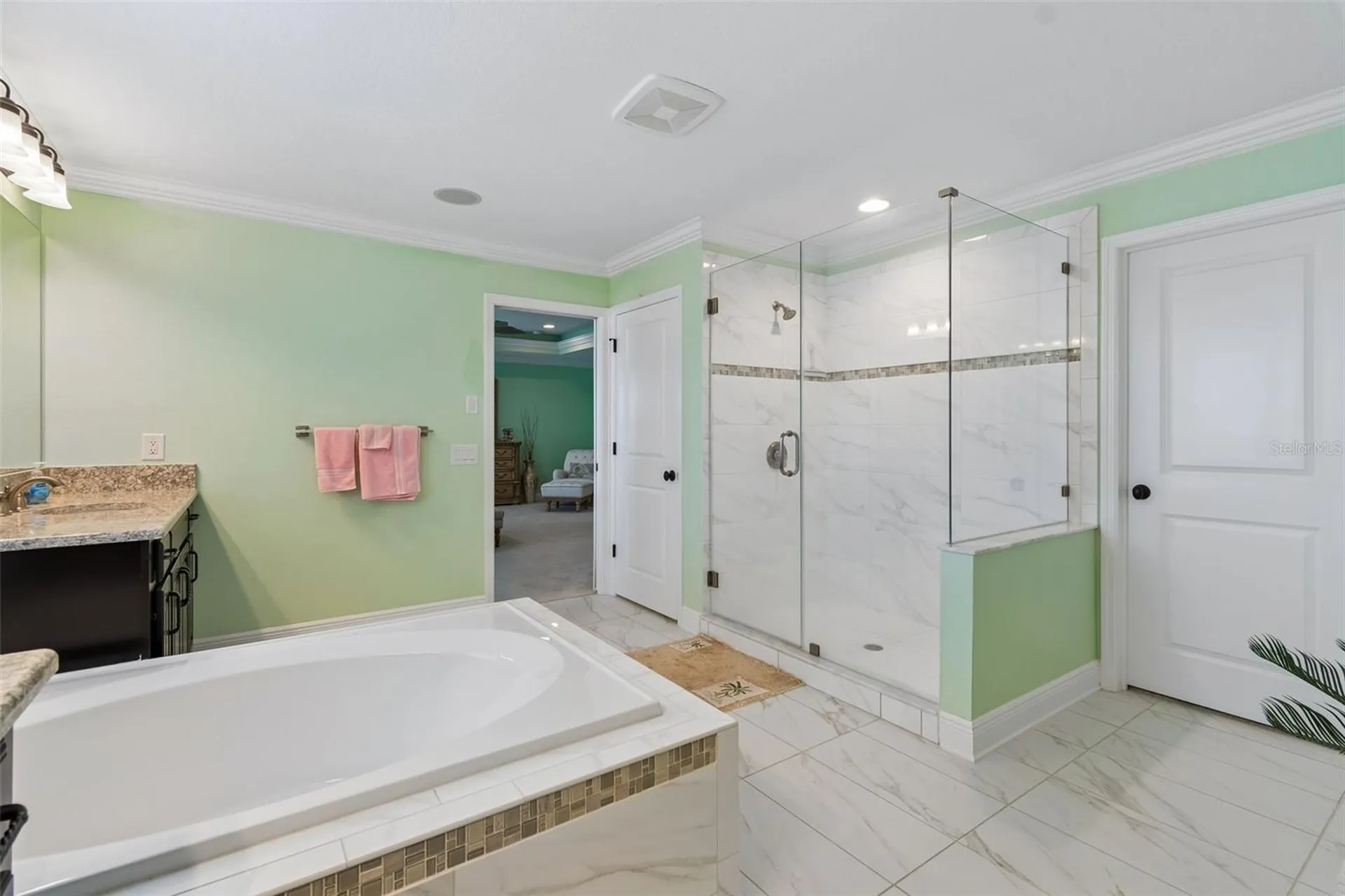 13218 Batten Lane Odessa FL 33556
