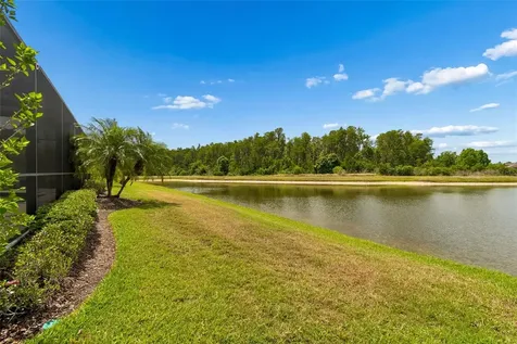 13218 Batten Lane Odessa FL 33556