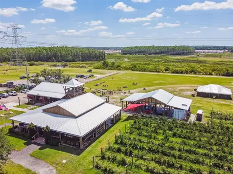 13218 Batten Lane Odessa FL 33556