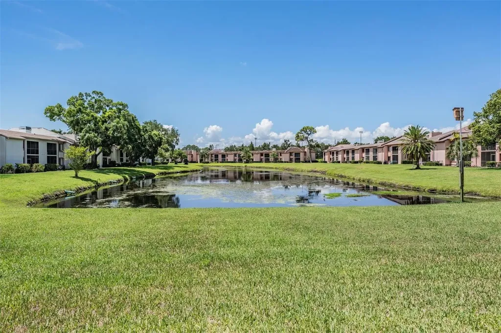 107 Lakeview Place Oldsmar FL 34677