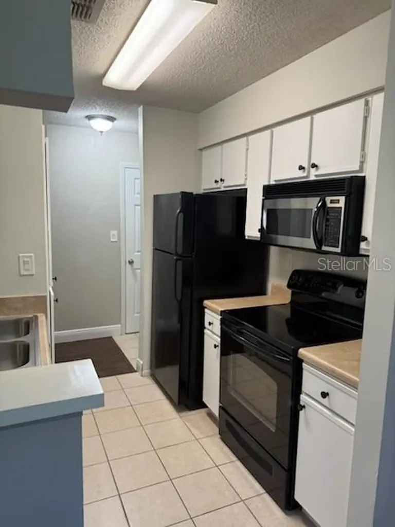 8603 Fancy Finch Drive Tampa FL 33614