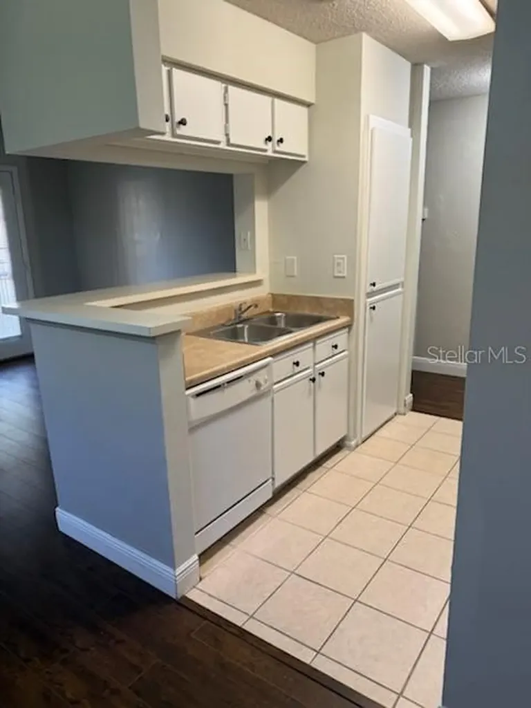 8603 Fancy Finch Drive Tampa FL 33614