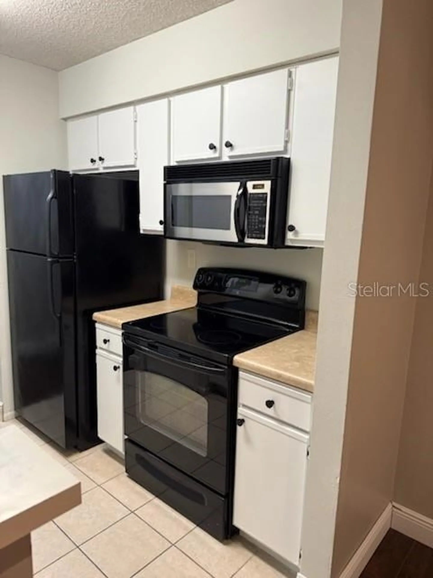 8603 Fancy Finch Drive Tampa FL 33614