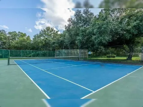 8603 Fancy Finch Drive Tampa FL 33614