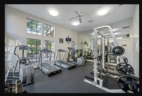 8603 Fancy Finch Drive Tampa FL 33614