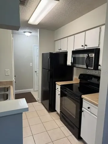 8603 Fancy Finch Drive Tampa FL 33614
