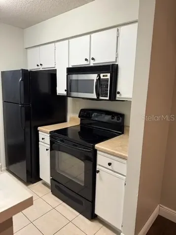 8603 Fancy Finch Drive Tampa FL 33614