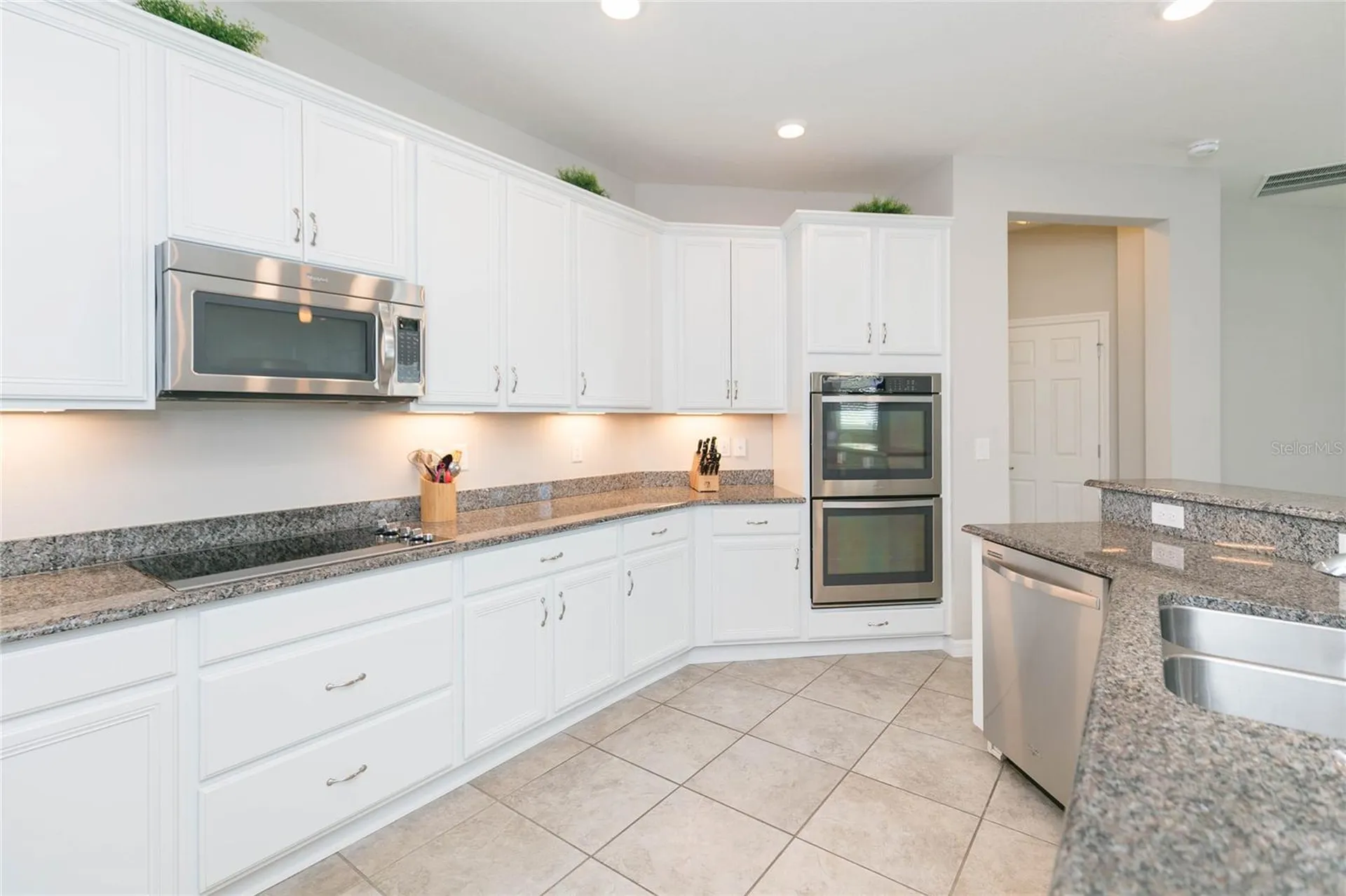 11516 Luckygem Drive Riverview FL 33579