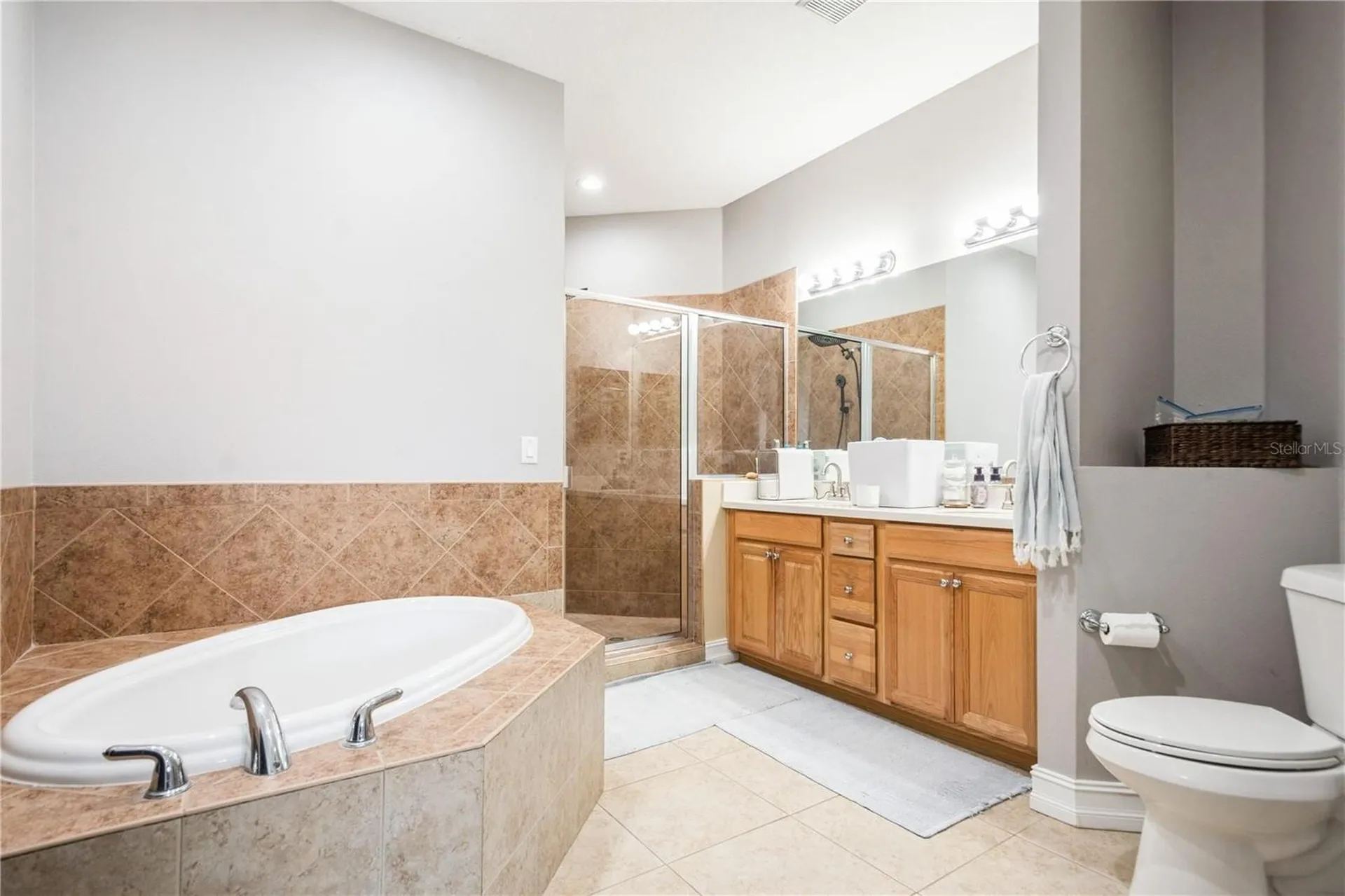 10422 La Mirage Court Tampa FL 33615