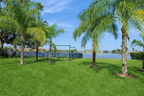 10422 La Mirage Court Tampa FL 33615