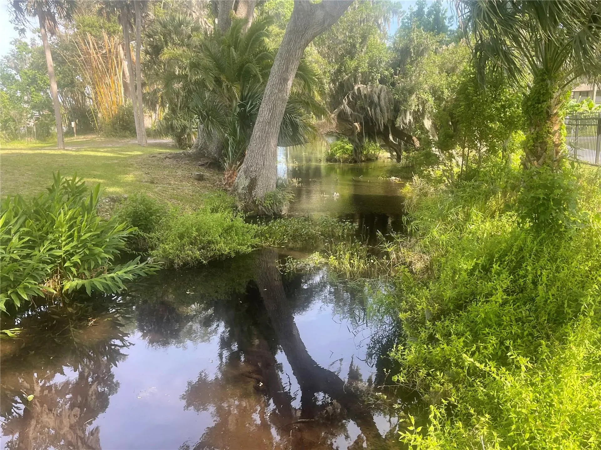 23 Lonesome Pine Trail Yalaha FL 34797
