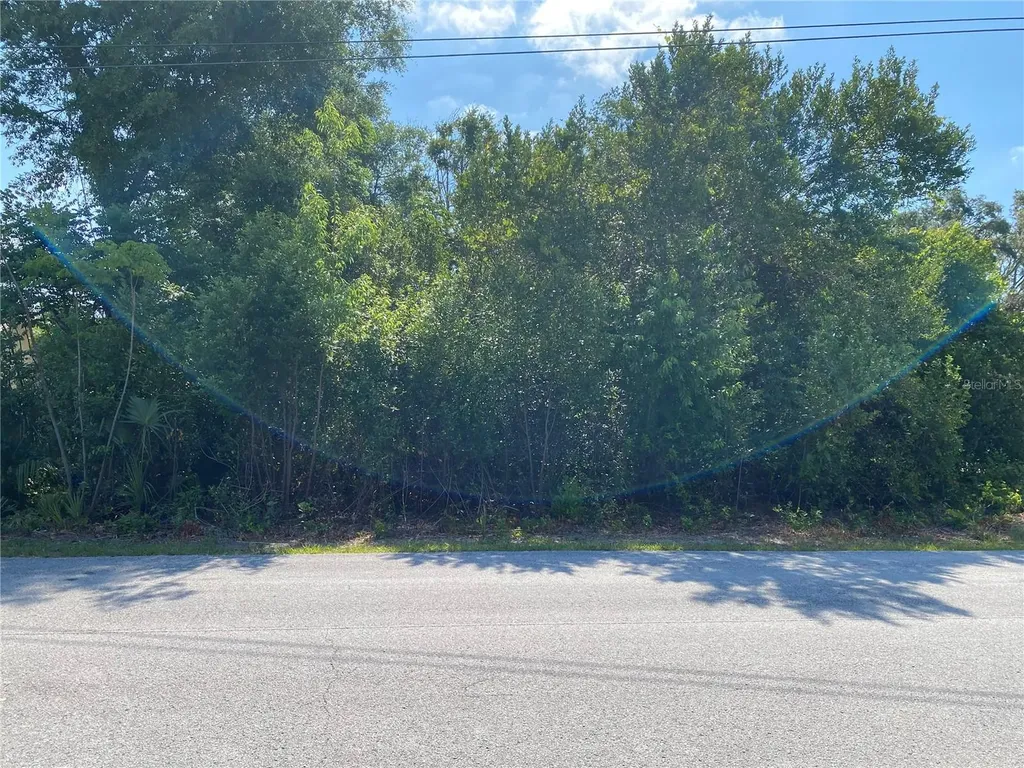 Gatewood Avenue Spring Hill FL 34608