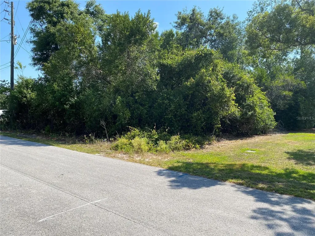 Gatewood Avenue Spring Hill FL 34608