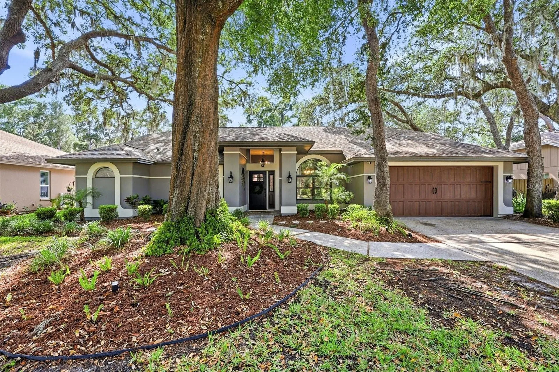 1445 Waterwood Drive Lutz FL 33559