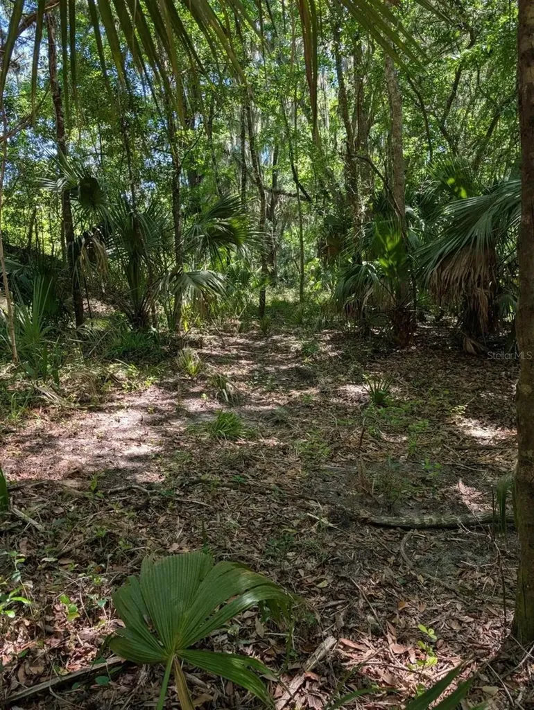 0 NW 202nd Place Mc Intosh FL 32664
