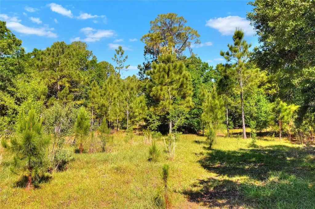 0 Lake Buffum Road W Fort Meade FL 33841