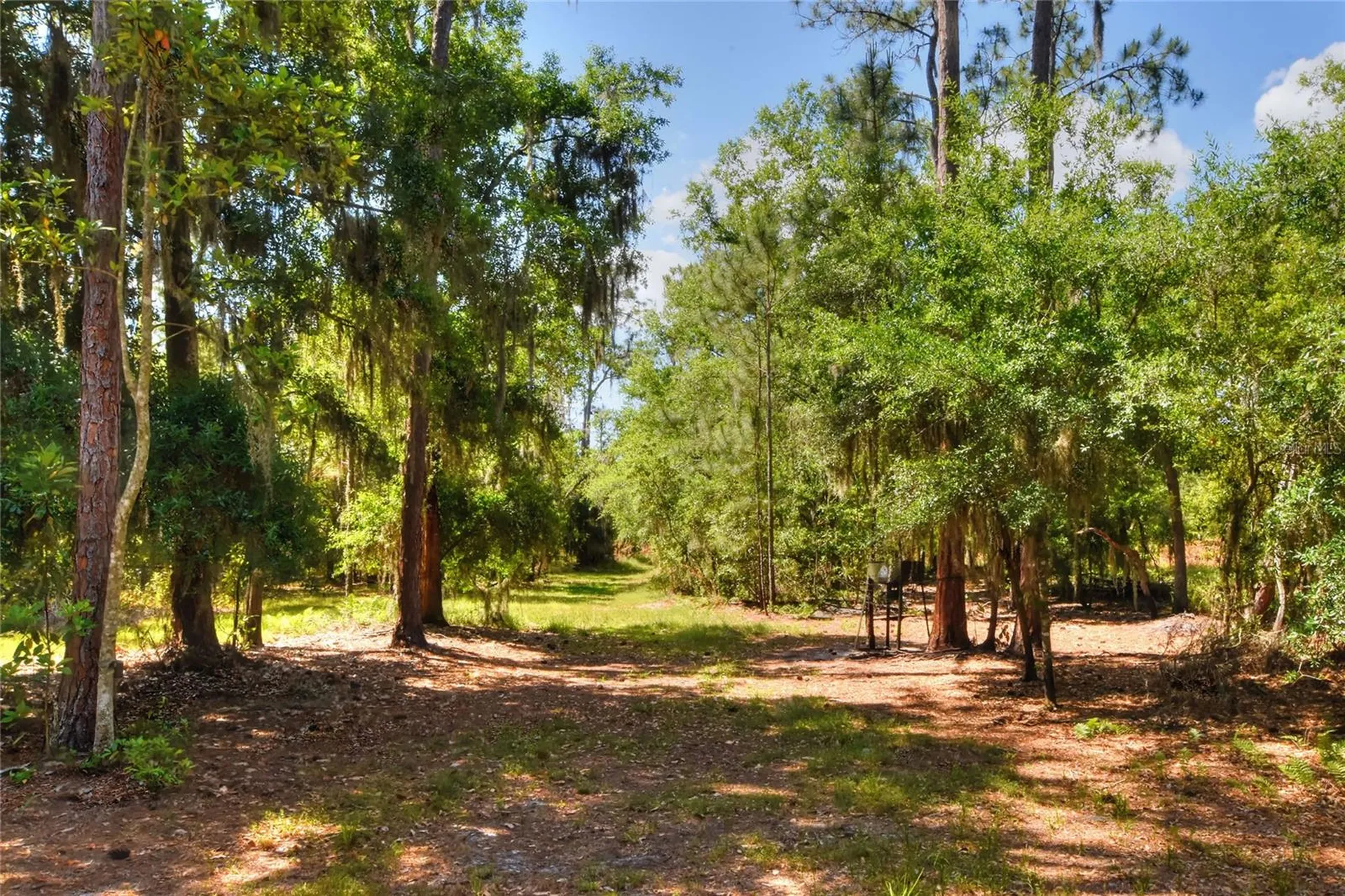 0 Lake Buffum Road W Fort Meade FL 33841
