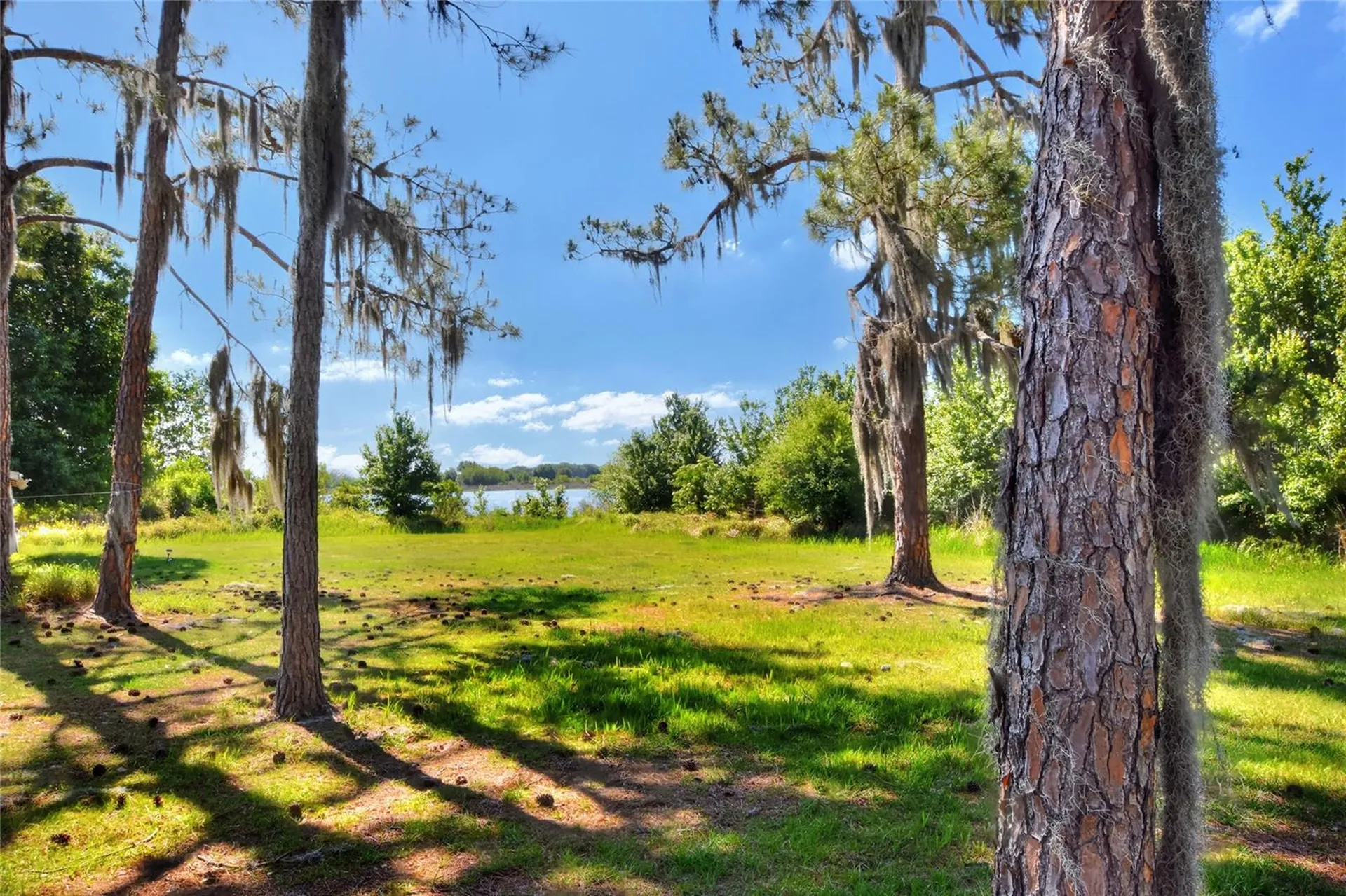 0 Lake Buffum Road W Fort Meade FL 33841