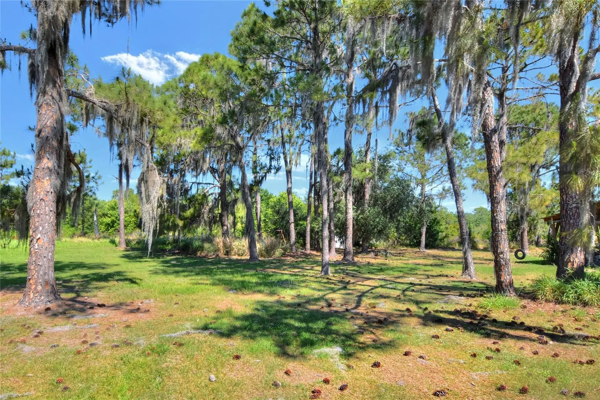 0 Lake Buffum Road W Fort Meade FL 33841