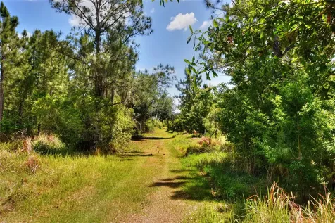 0 Lake Buffum Road W Fort Meade FL 33841