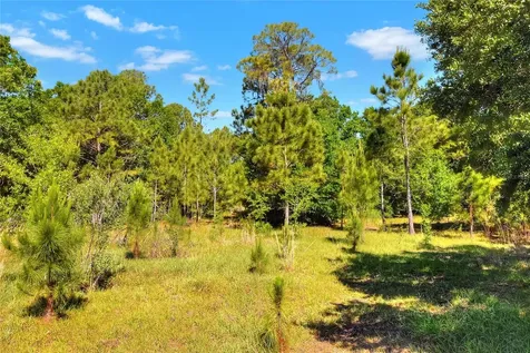 0 Lake Buffum Road W Fort Meade FL 33841