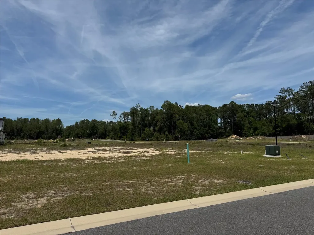 14772 SW 11th Place Newberry FL 32669