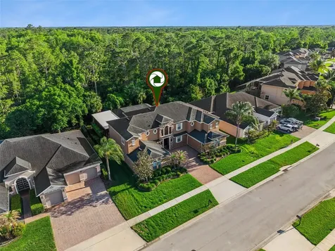 3197 Heirloom Rose Place Oviedo FL 32766