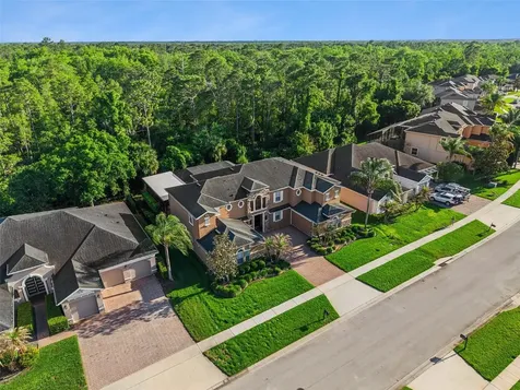 3197 Heirloom Rose Place Oviedo FL 32766