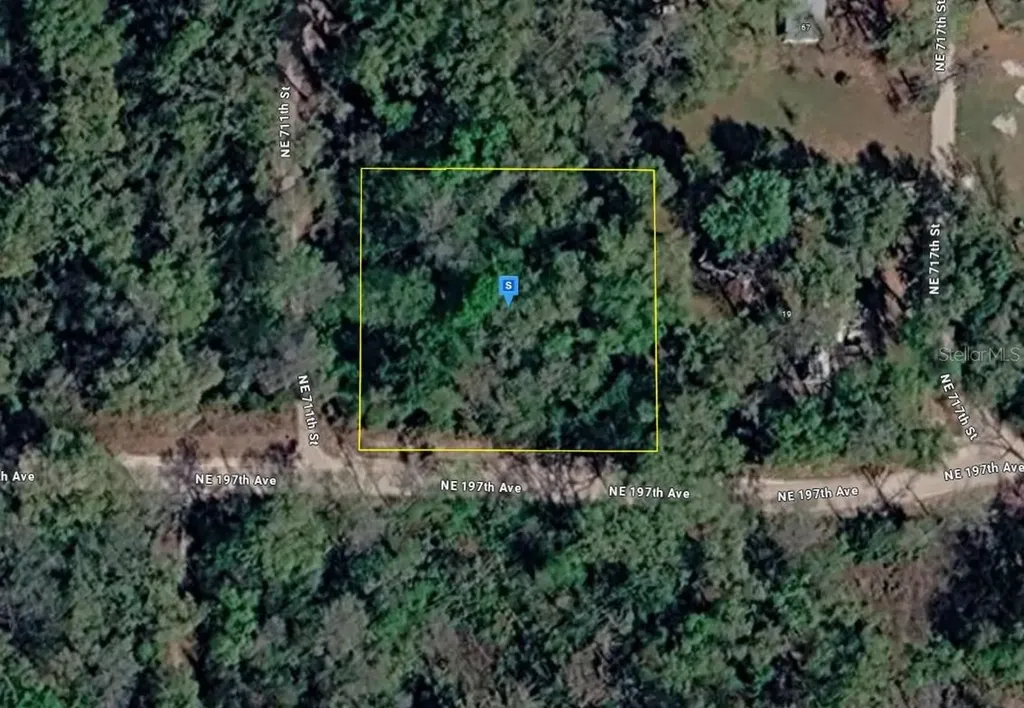 11 NE 717th Street Old Town FL 32680