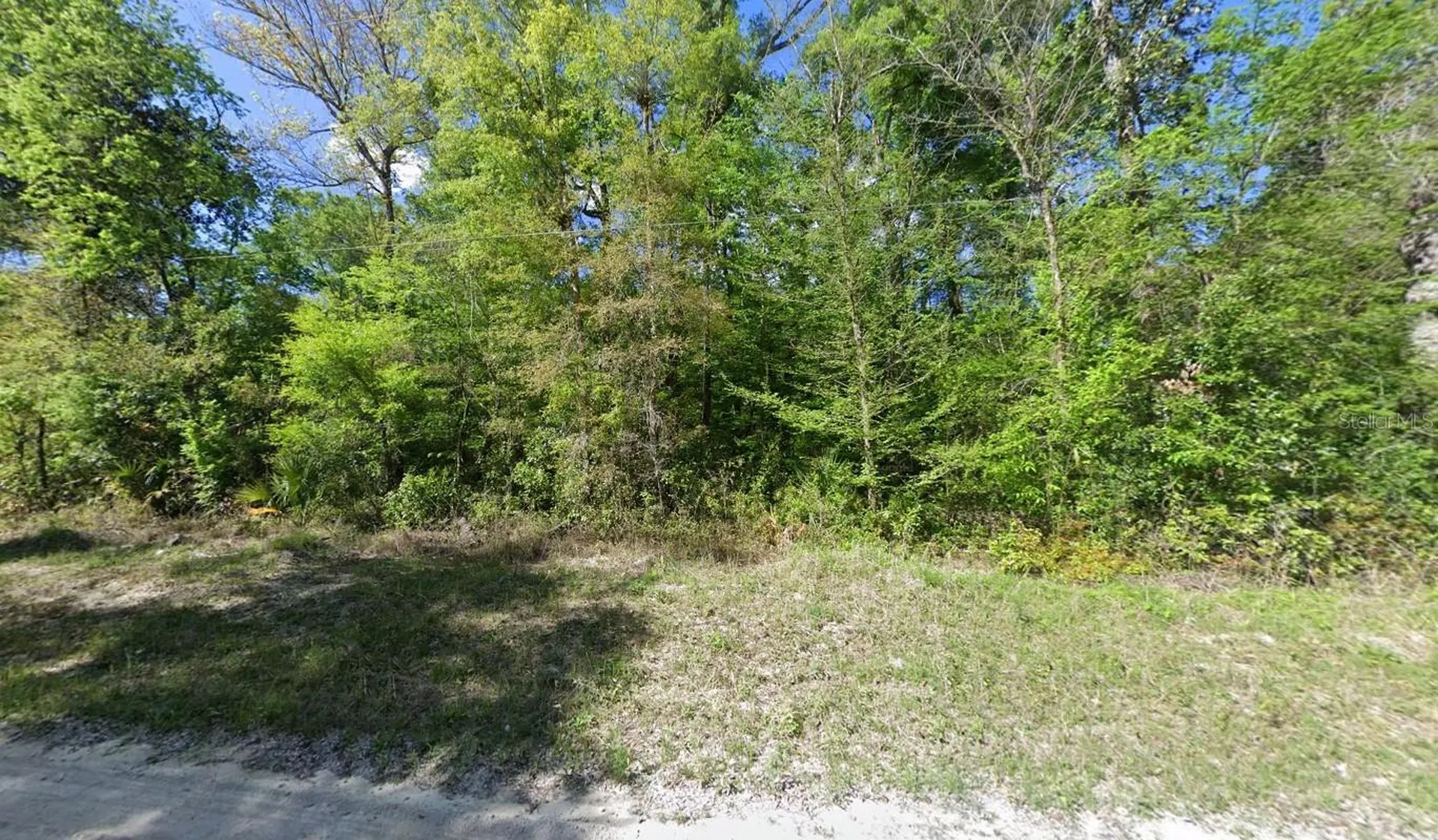 11 NE 717th Street Old Town FL 32680
