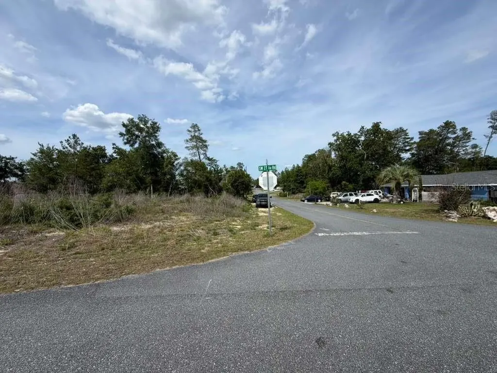 2455 SW 159th Lane Ocala FL 34473