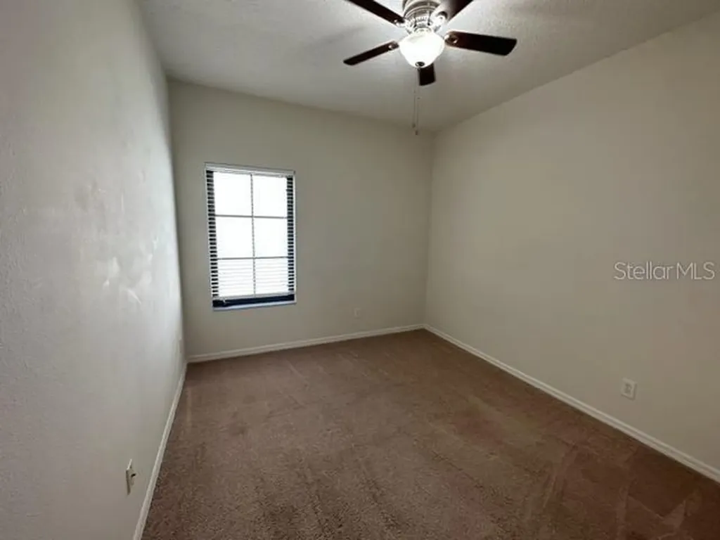 906 Pawstand Road Celebration FL 34747