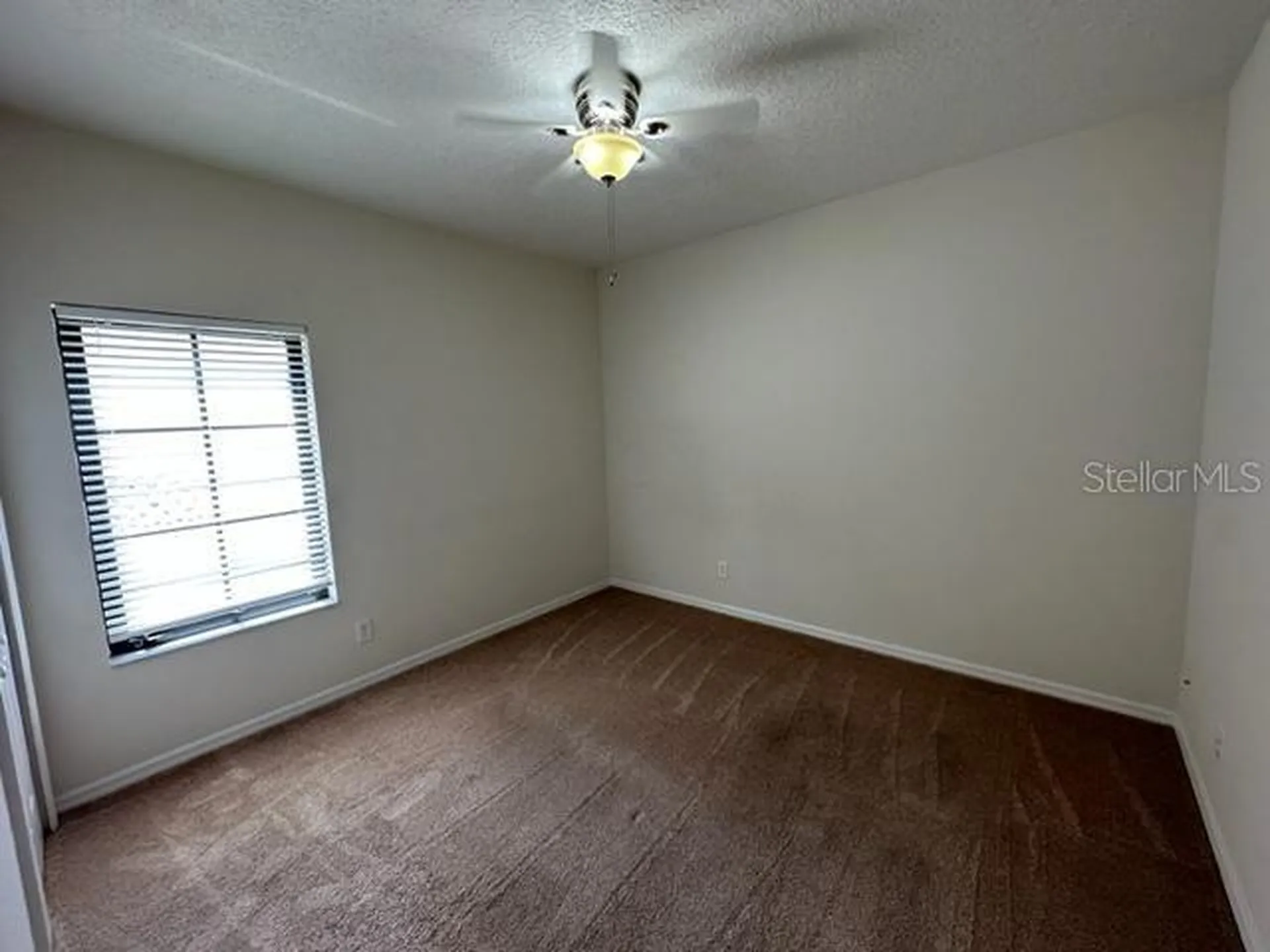 906 Pawstand Road Celebration FL 34747