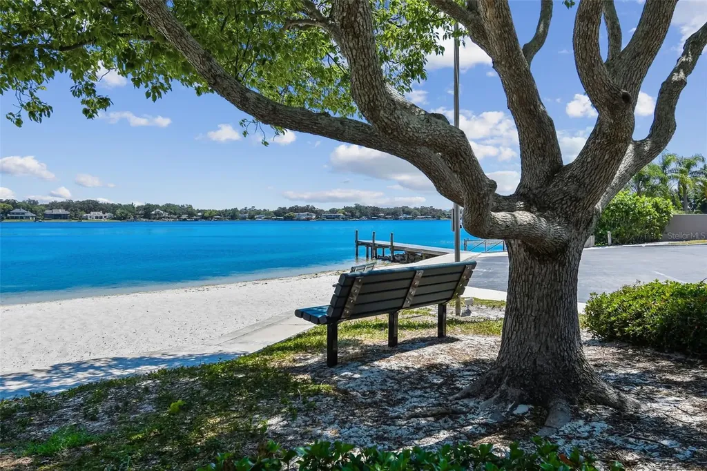 10916 Carrollwood Drive Tampa FL 33618