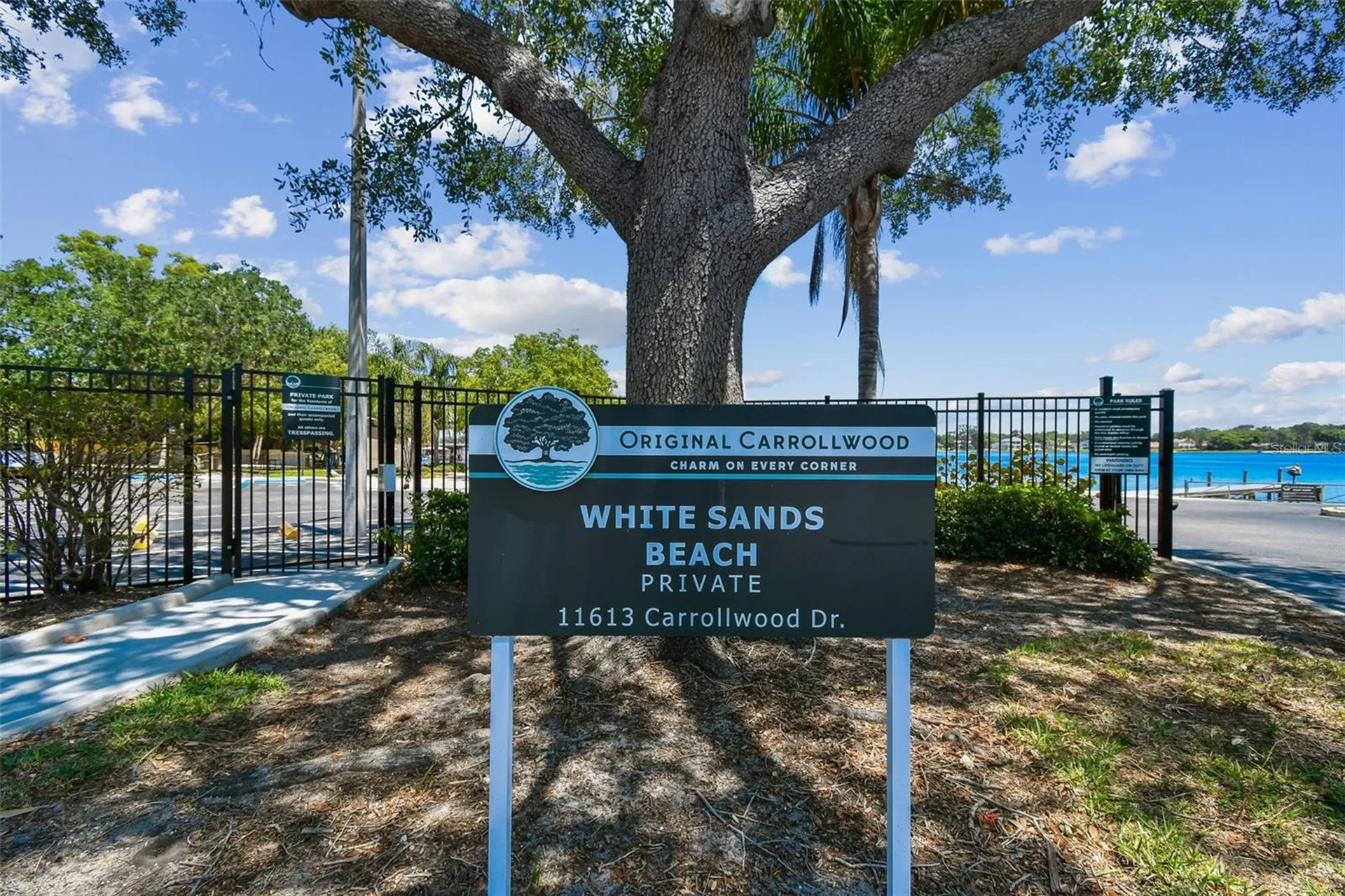 10916 Carrollwood Drive Tampa FL 33618